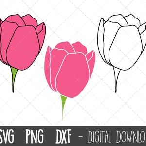 Tulp SVG, Lentebloem SVG, bloem svg, bloem clipart, lente clipart, bloemen svg, bloemen clipart, tulp cricut silhouet svg snijvijl