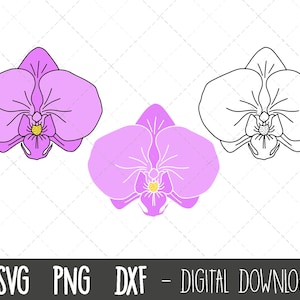 Orchidée SVG, Paquet SVG de fleur de printemps, fleur svg, clipart de fleur de printemps, clipart floral, fleur d’orchidée png, fichier de coupe de silhouette cricut