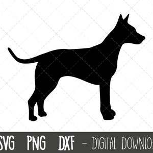 American Hairless Terrier svg, dog svg, Hairless Terrier silhouette outline png, Terrier clipart, pet dog dxf, cricut silhouette cut file