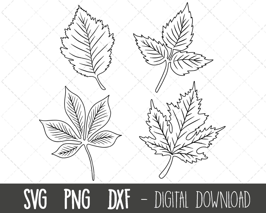 Fall Leaves SVG, Autumn Leaves Svg Clipart, Leaves Clipart Bundle
