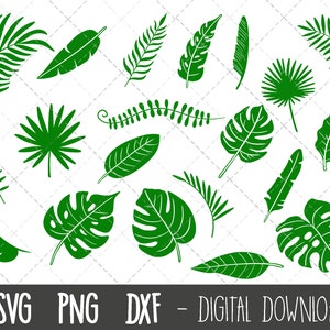 Botanical leaves SVG bundle, tropical leaves svg, monstera leaf clipart, jungle leaves, palm branch outline, cricut silhouette svg cut file