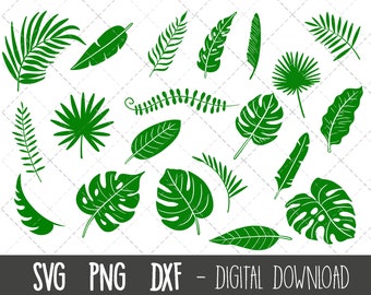 Tropische Blätter SVG Bundle, Monstera Blatt svg Clipart, Dschungel Blätter png, Blätter SVG Dateien, Monstera Blätter Cricut Silhouette svg Cut Datei