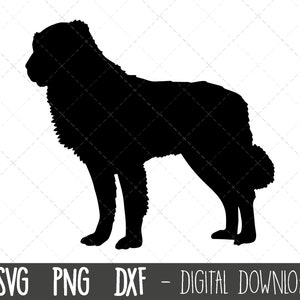 Sarabi svg, Hund svg, Sarabi Hund Silhouette, Sarabi Umriss png, Sarabi Clipart, Hund Haustier png, Sarabi Rasse Cricut Kontur svg geschnitten Datei