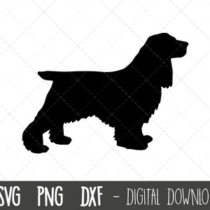 Field Spaniel svg, Hund svg, Field Spaniel Silhouette, Field Spaniel Umriss, Field Spaniel Clipart, Hund Haustier png, Cricut Silhouette geschnitten Datei