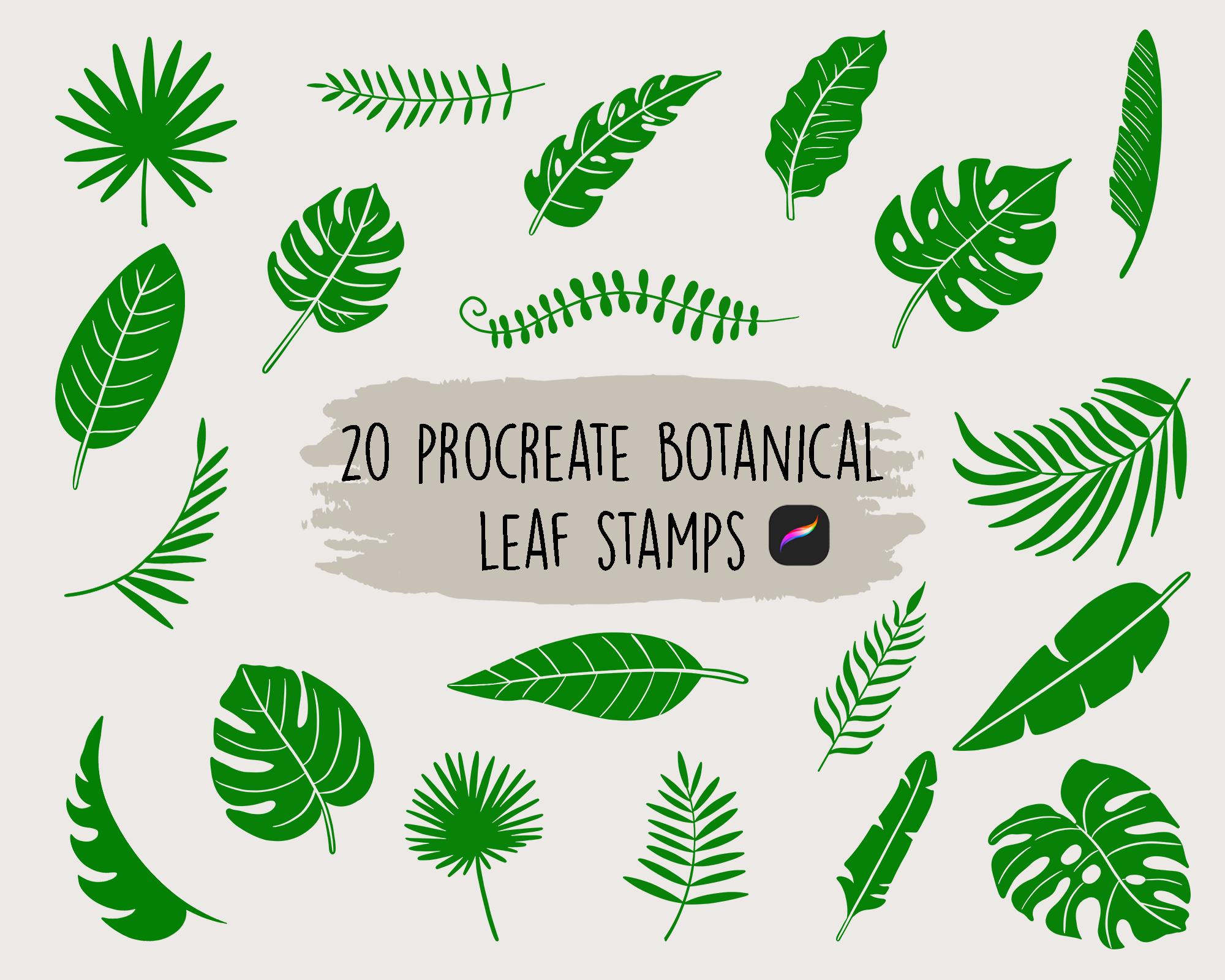 Botanical Leaves Procreate Stamps, Procreate Stamp Set, Procreate Leaf ...