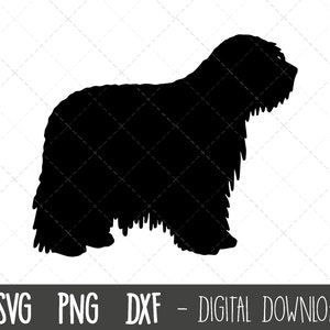 Bergamasco pastore svg, cane svg, bergamasco silhouette, contorno pastore png, cane clipart, cane da compagnia png, dxf, cricut silhouette svg cut file