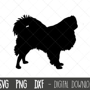 Japanese Chin Svg, Hund Svg, Japanischer Chin Silhouette, Haustier Hund Hunderasse Silhouette png, Japanese Chin Clipart, Haustier Hund Silhouette Silhouette Plotterdatei