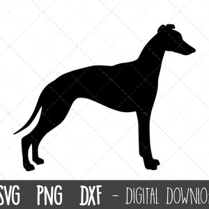 Whippet svg, dog svg, Whippet silhouette, Whippet outline png, Whippet clipart, dog pet png, dxf, Whippet cricut silhouette svg cut file