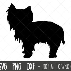Yorkshire terrier SVG, dog svg, terrier silhouette, terrier outline png, terrier clipart, dog pet png, dxf, cricut silhouette svg cut file