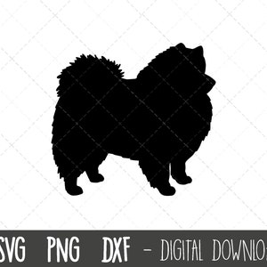 American Eskimo svg, dog svg, American Eskimo silhouette, American Eskimo outline png clipart, dog pet png, dxf, cricut silhouette cut file