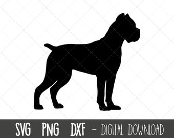 May include: Black silhouette of a Cane Corso dog breed standing with its legs spread apart.