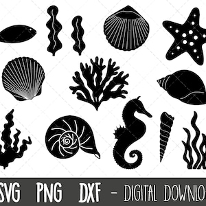 Zwierzęta oceaniczne SVG, Podwodne DXF, Konik morski SVG, Clipart oceaniczny, Stworzenia morskie, Muszla morska SVG, Wodorosty SVG, Cricut sylwetka SVG plik do cięcia