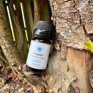 Camphor Essential Oil