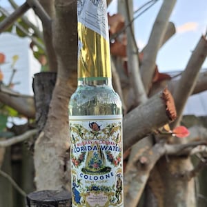 Florida Wasser