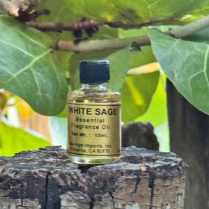 Può includere: Una piccola bottiglia di vetro di olio essenziale di salvia bianca con tappo nero. L'etichetta recita "White Sage Essential Fragrance Oil Net Wt.: 10ml." La bottiglia è appoggiata su una superficie di legno strutturata e invecchiata, con fogliame verde sullo sfondo.