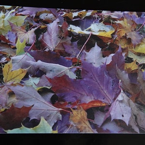 Postkarte - 10er Pack