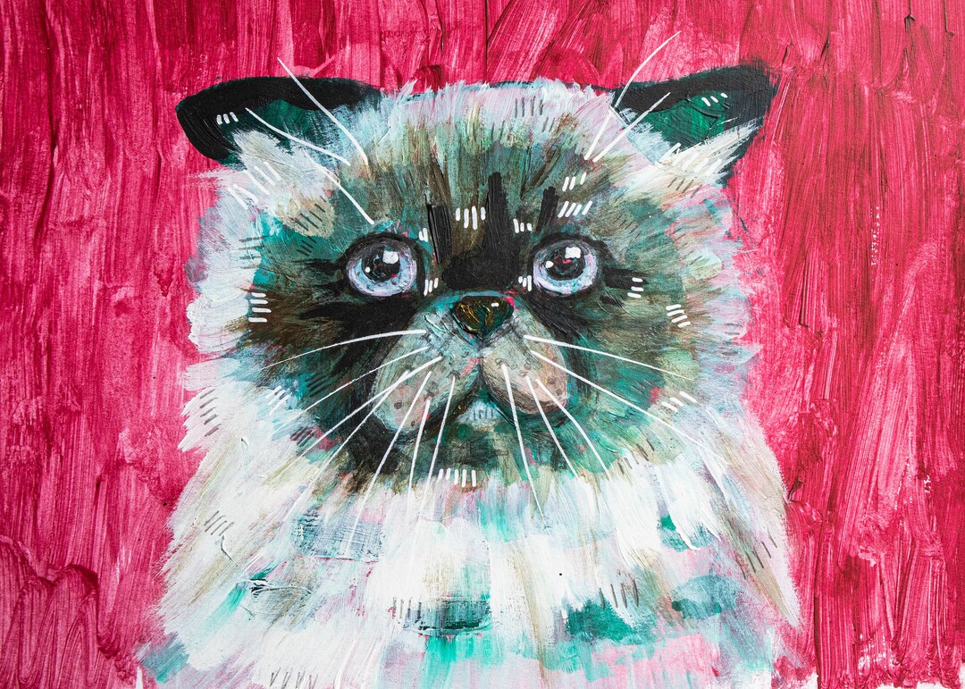 Himalayan Cat Fine Art Print Cat/pet Portrait Decor Etsy
