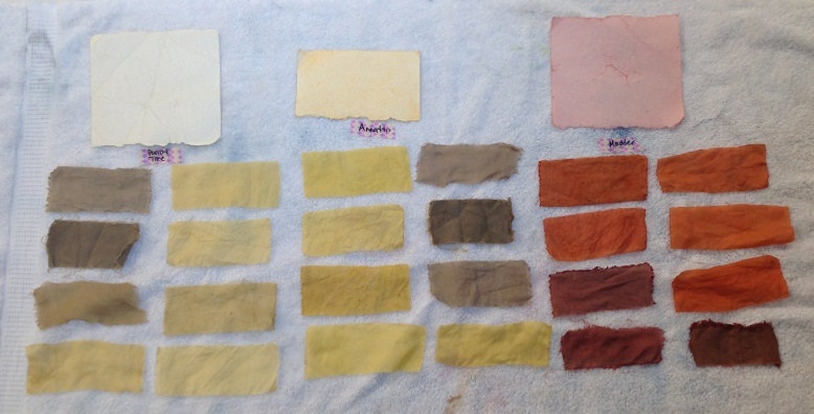 Immersion Dyeing With Natural Dye Instructions Etsy