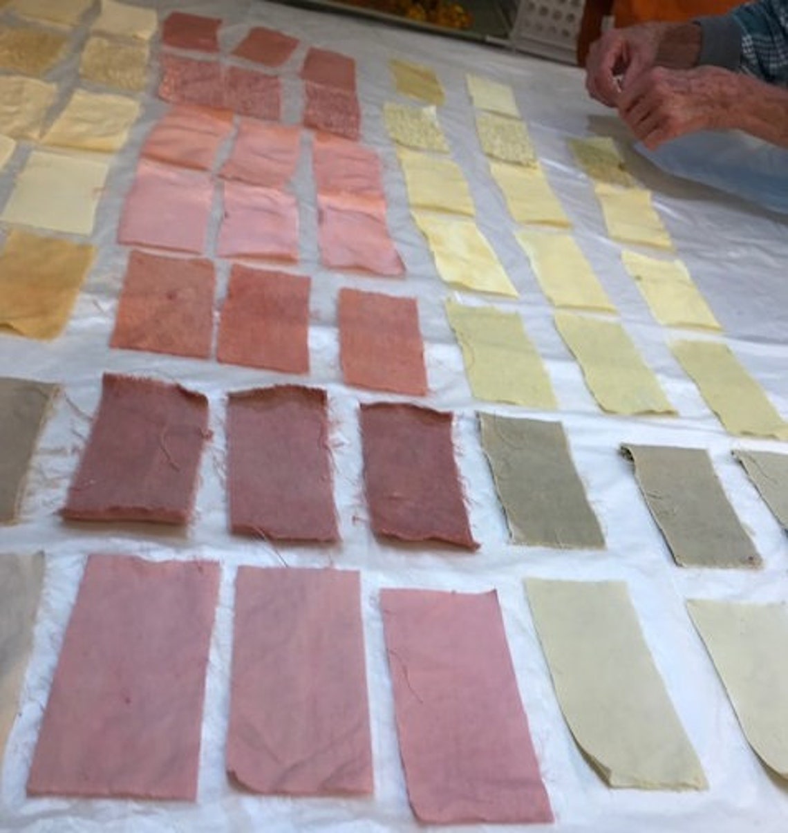 Immersion Dyeing With Natural Dye Instructions Etsy