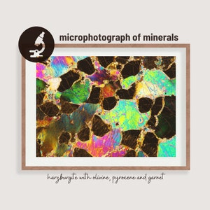 Può includere: Microfotografia di minerali, che mostra un primo piano di harzburgite con olivina, pirosseno e granato. L'immagine mostra una varietà di colori e trame, tra cui verde, blu, viola e nero.