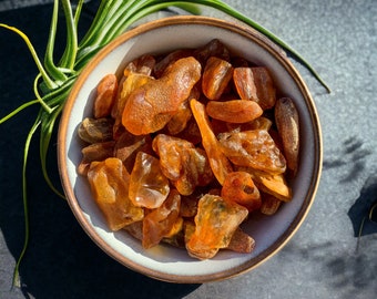 Natural Rough Baltic Amber Succinite Chunks from Poland, You Choose Your Size