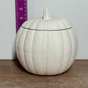 May include: A white ceramic pumpkin-shaped container with a lid. The container has vertical ridges and a stem-like handle on top. The container is approximately 7 inches tall.