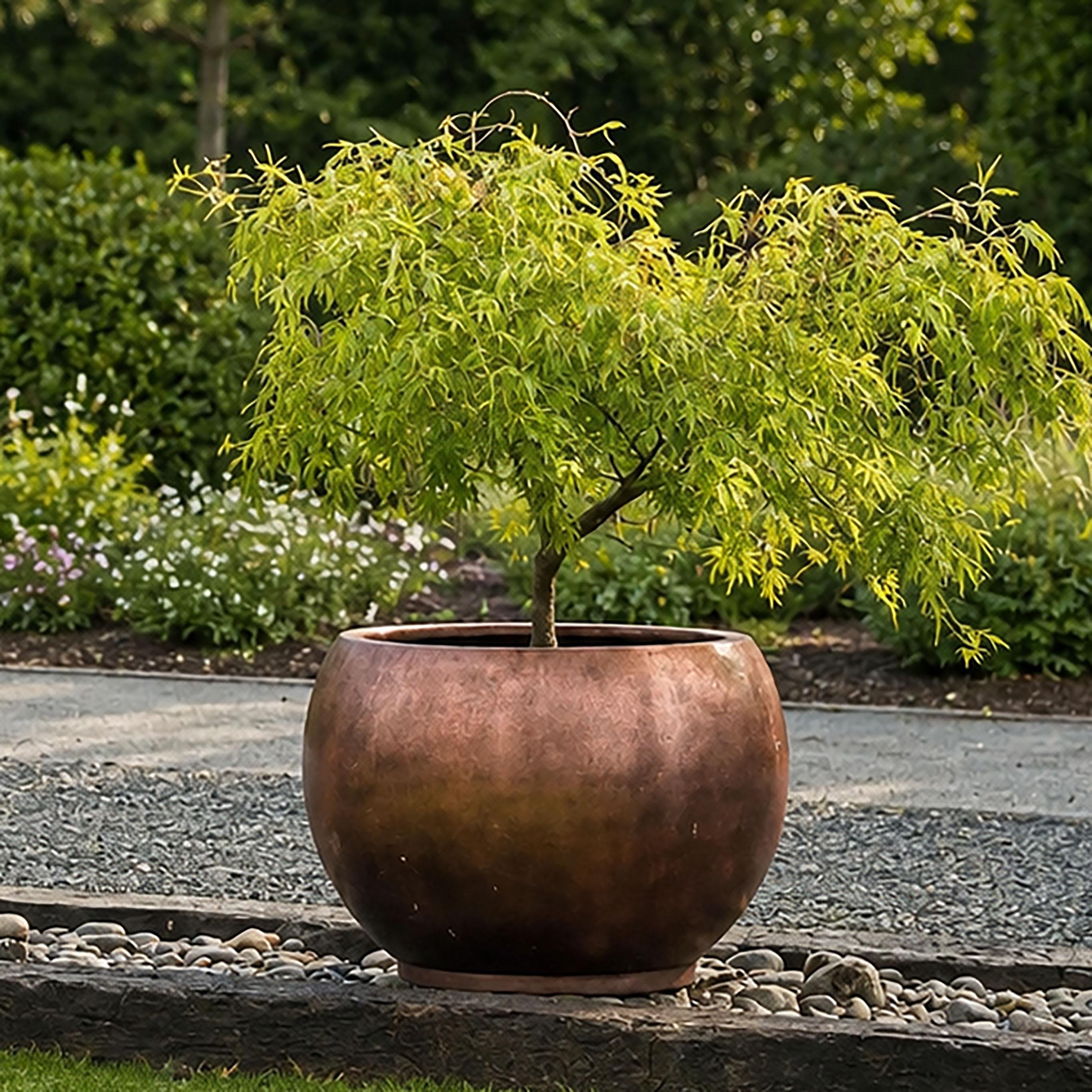 Extra large indoor plant pots - Etsy.de