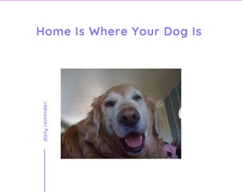 Home Is Where Your Dog Is, Digital Download, For The Love Of Dog,