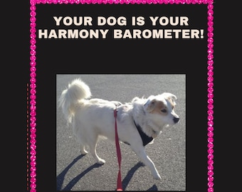 Your dog is your Harmony Barometer