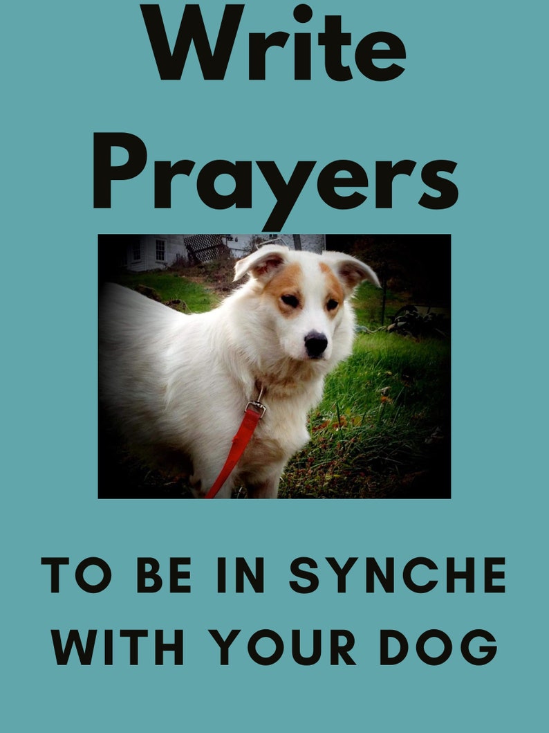 Write Prayers To be In Synch With Your Dog image 1