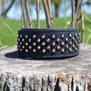 Luxury Black Dog Collar with Swarovski gems 1.5” width