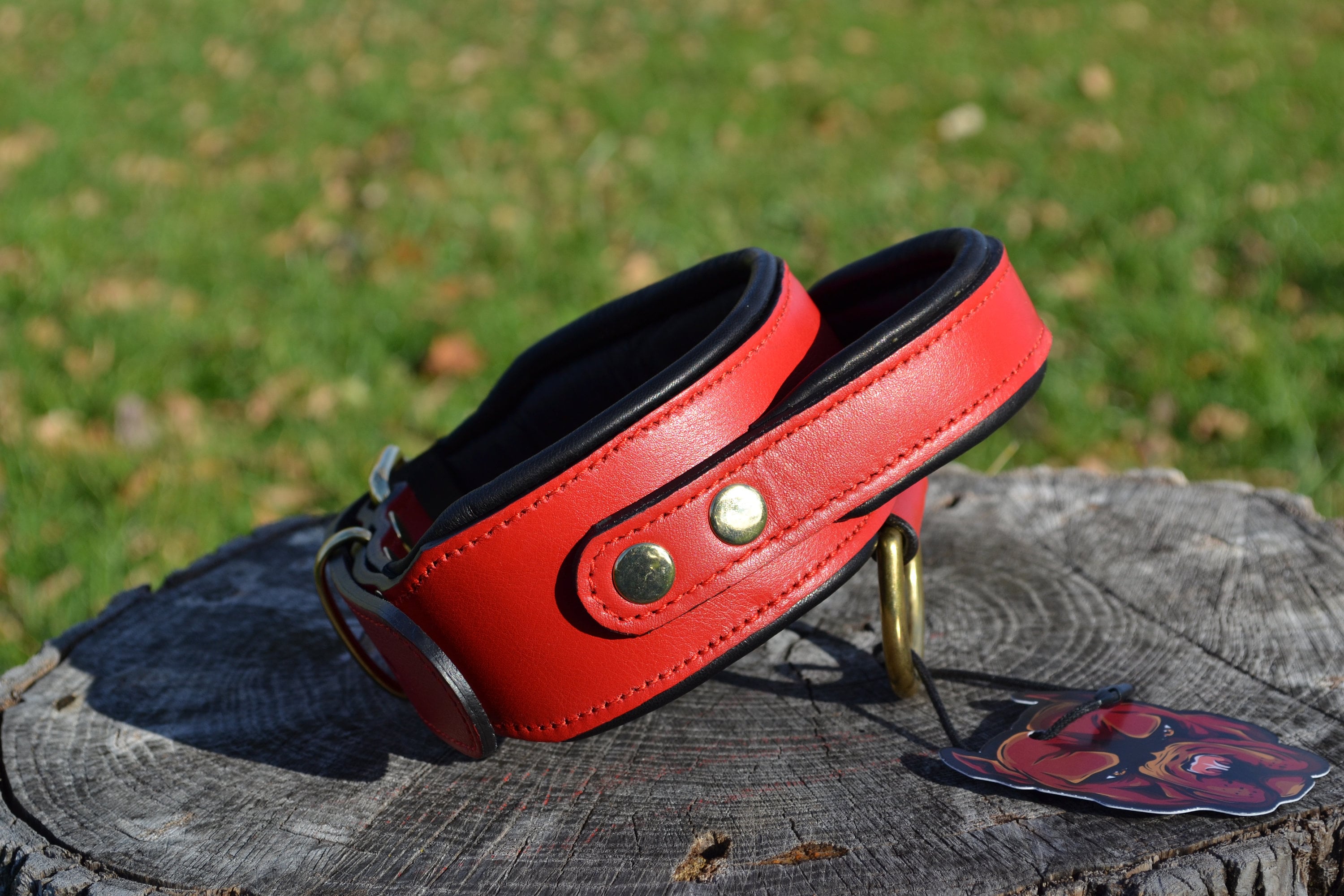 Red tactical hotsell dog collar