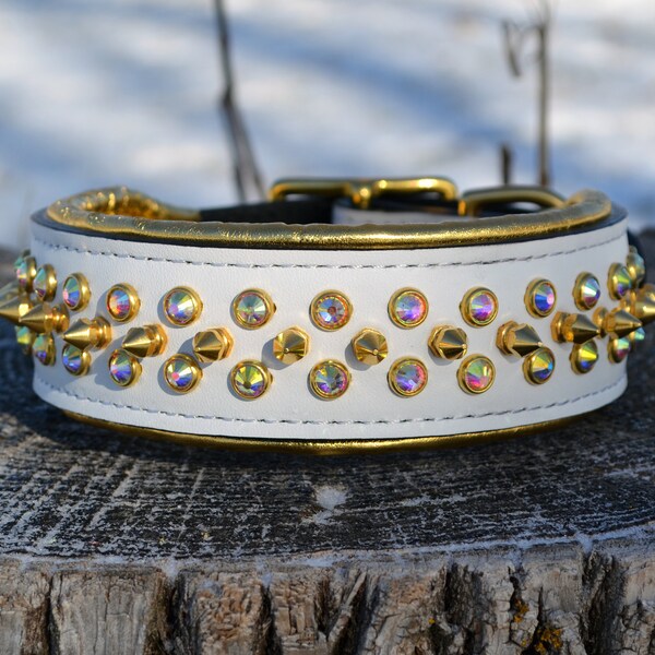 Female Dog Collar Etsy