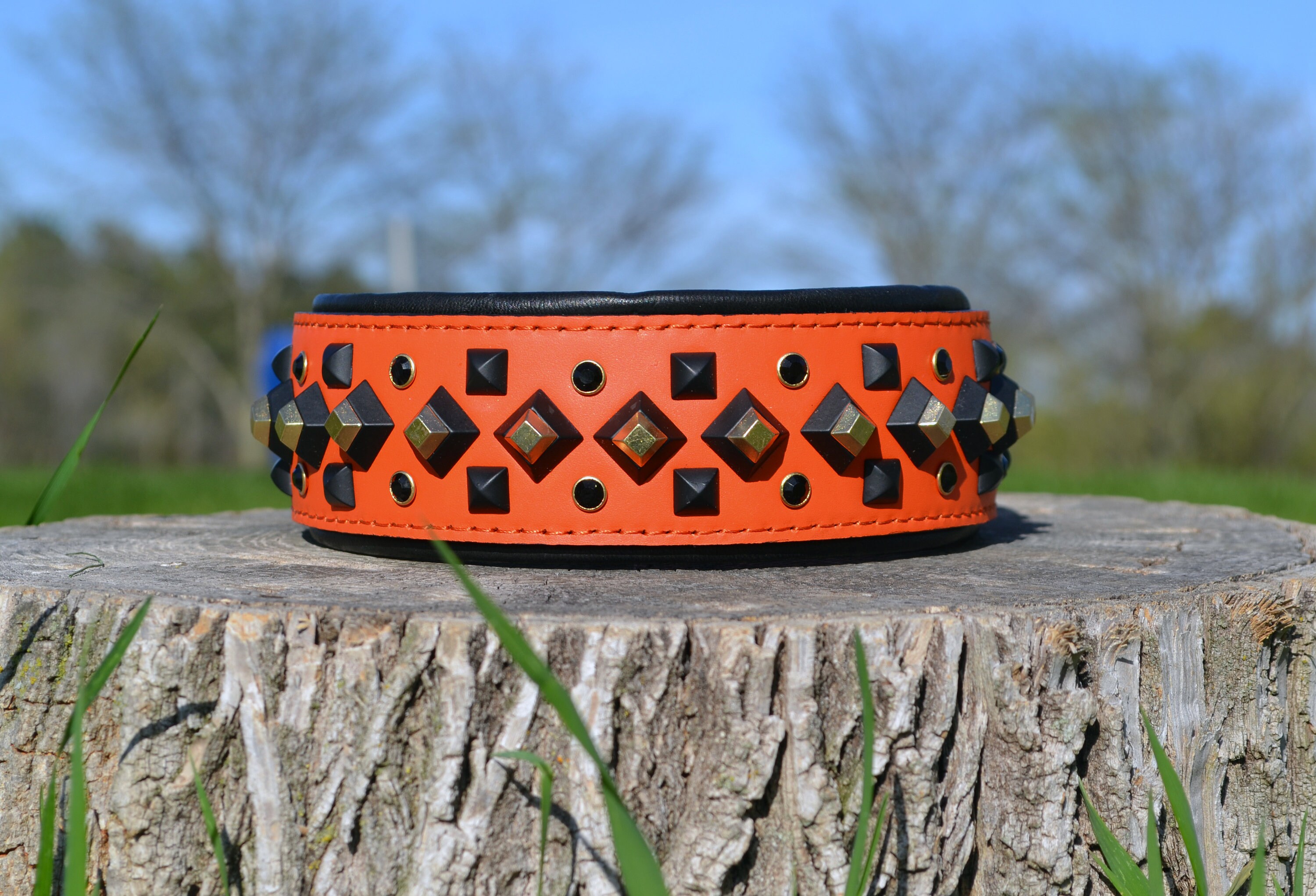 Leather dog collar with studs 