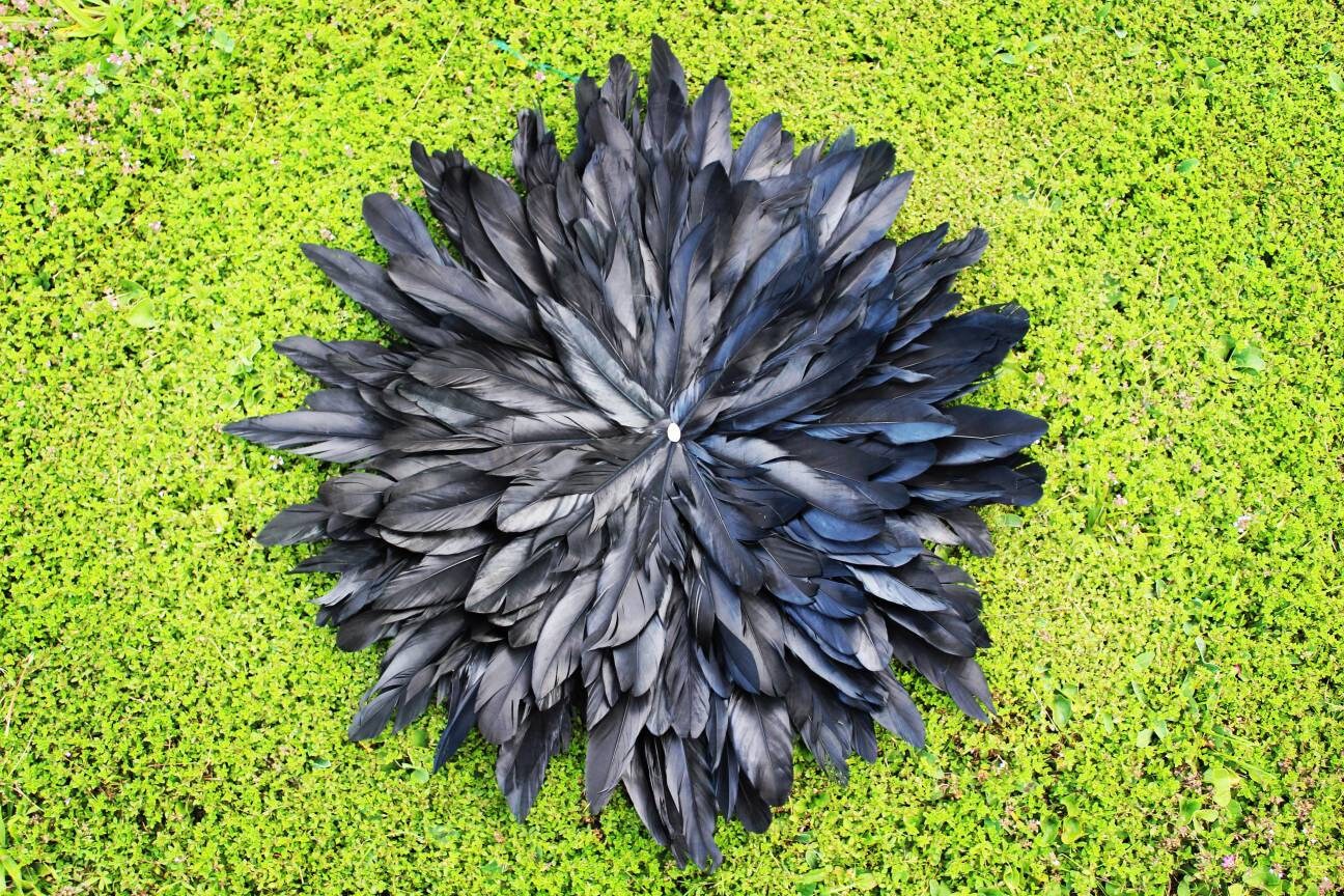 Jujuhat Plume à Noir Uni