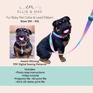 Fur Baby pet collar + lead pattern - Sizes S - XXL - Digital PDF sewing pattern - Video Tutorial - Ellie and Mac - Dog sewing pattern