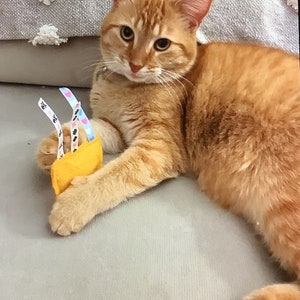 Catnip felt and ribbon toys