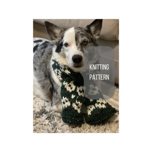 Patrón de tejido en PDF, patrón de tejido de bufanda para perro Snowburst, perros, accesorios para mascotas, tejidos fáciles, tejidos rápidos, hilo supervoluminoso, regalos tejidos