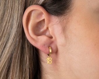Number Earrings , Custom Earrings , Personalized Earrings , Birthday Earrings , Numbers Jewelry , Hoop Earring , Mom Gifts , Gift For Her