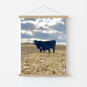 Angus Cow with Calf Print, Digital Download Art, Cow Poster, Digital Wall Art, Farm Photo, Farm Animal Print, Farmhouse Wall Decor