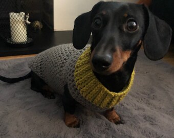 doxie coats and sweaters