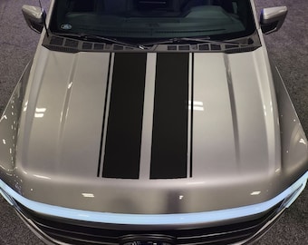 May include: A silver pickup truck with black racing stripes down the hood.