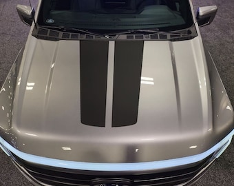 May include: A silver pickup truck with black racing stripes on the hood.