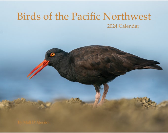 Birds of the Pacific Northwest 2024 wall calendar 8.5" x 11"