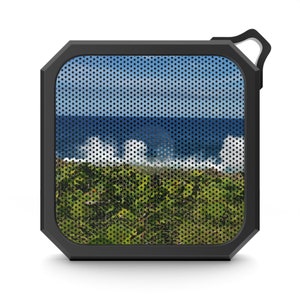 Blackwater Outdoor Bluetooth Speaker