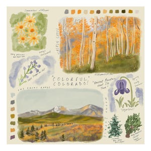 Puede incluir: Una obra de arte ilustrada con representaciones coloridas de paisajes y flora de Colorado. La obra incluye imágenes de flores silvestres, álamos temblones, montañas y el texto "Colorful Colorado!"