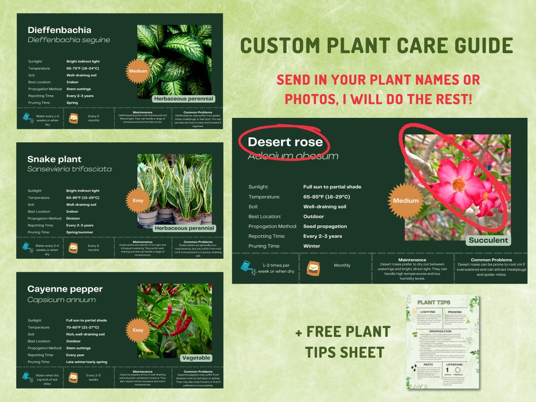 customized-printable-plant-care-guide-garden-planning-etsy