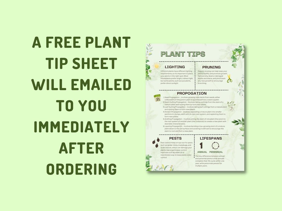 Customized Printable Plant Care Guide Garden Planning - Etsy