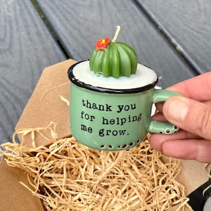 Succulent thank you gift, teacher appreciation gift, succulent mug candle, succulent gift box, helping me grow care package, plant gift