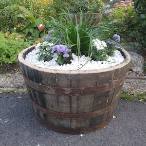 large oak whiskey half barrel planter patio herb veg next day delivery